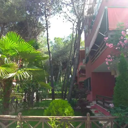 Apartment Pine Beach *